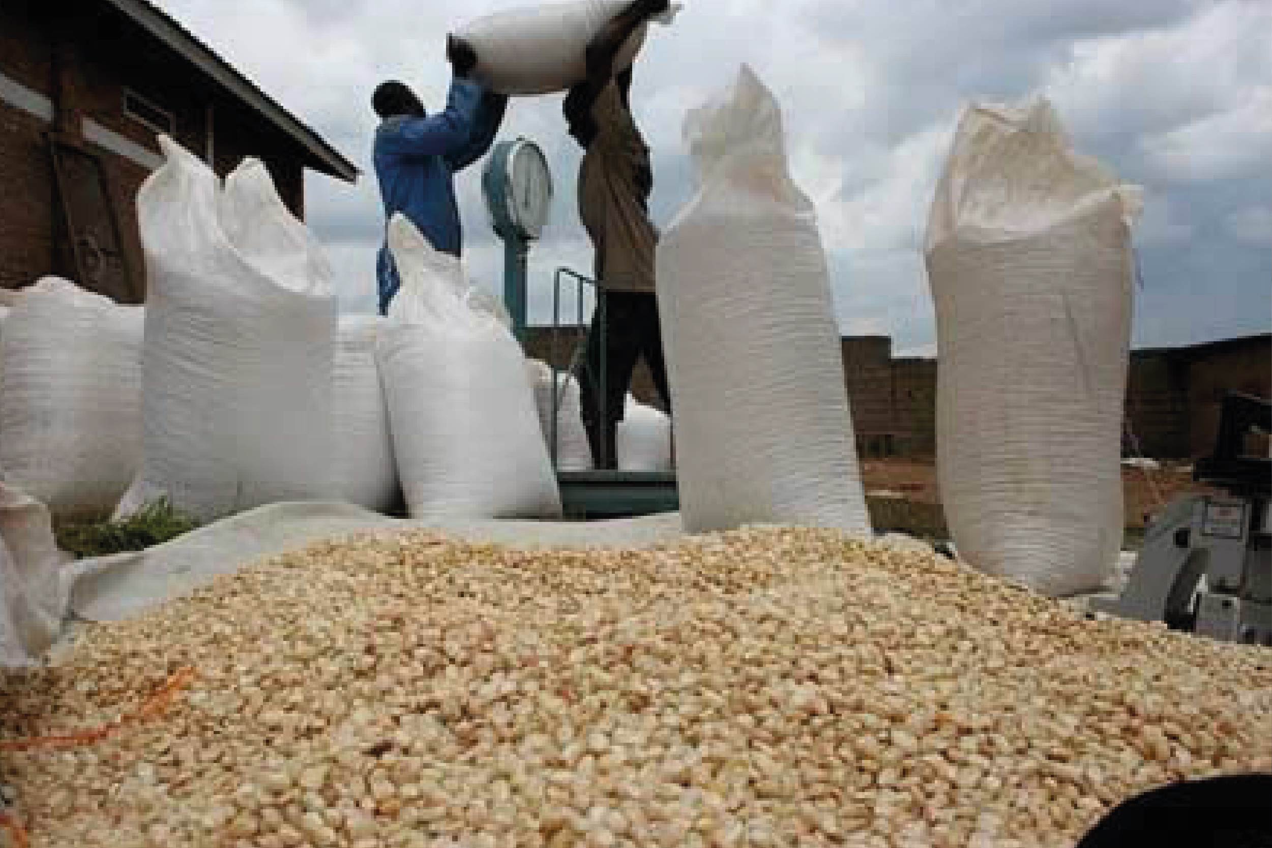 Customer Satisfaction